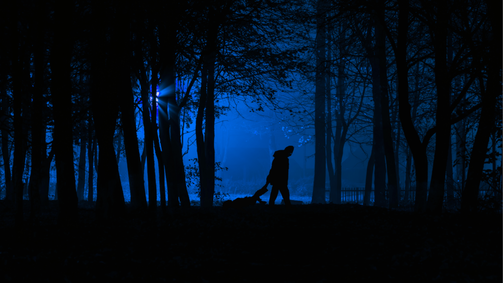 murder in the woods